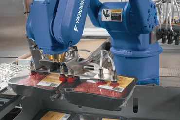 Meat Processing with Motoman Robotics