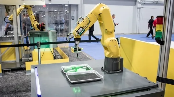Robotic Vision