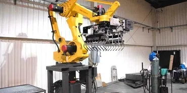 View Palletizing Robot Applications
